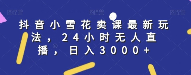 抖音小雪花卖课最新玩法，24小时无人直播，日入3000+【揭秘】-大齐资源站