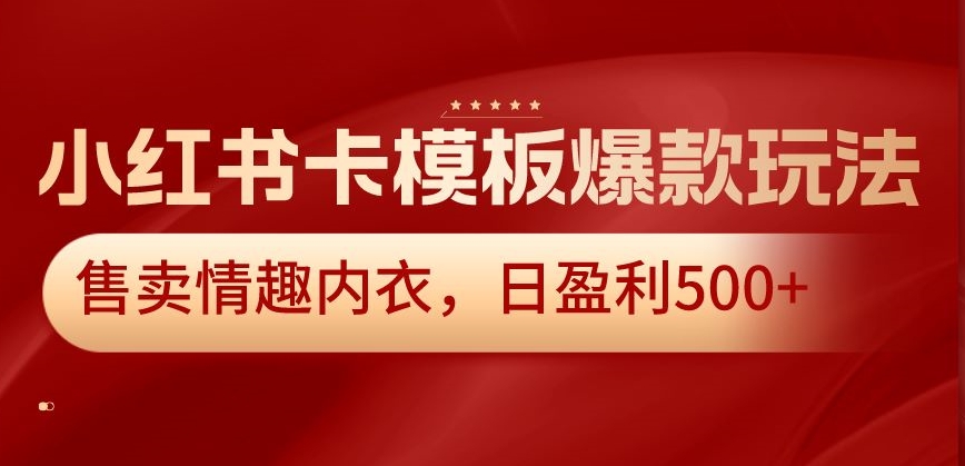 小红书卡模板爆款玩法，售卖情趣内衣，日盈利500+【揭秘】-大齐资源站