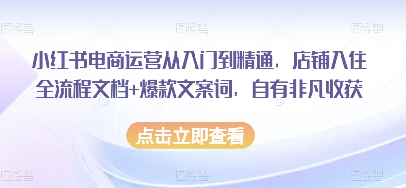 小红书电商运营从入门到精通，店铺入住全流程文档+爆款文案词，自有非凡收获-大齐资源站