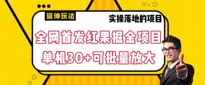 全网首发红果免费短剧掘金项目，单机30+可批量放大【揭秘】-大齐资源站