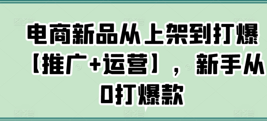 电商新品从上架到打爆【推广+运营】，新手从0打爆款-大齐资源站