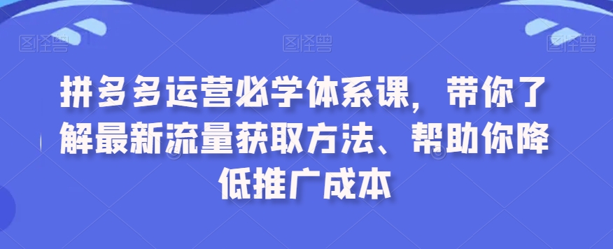 拼多多运营必学体系课，带你了解最新流量获取方法、帮助你降低推广成本-大齐资源站