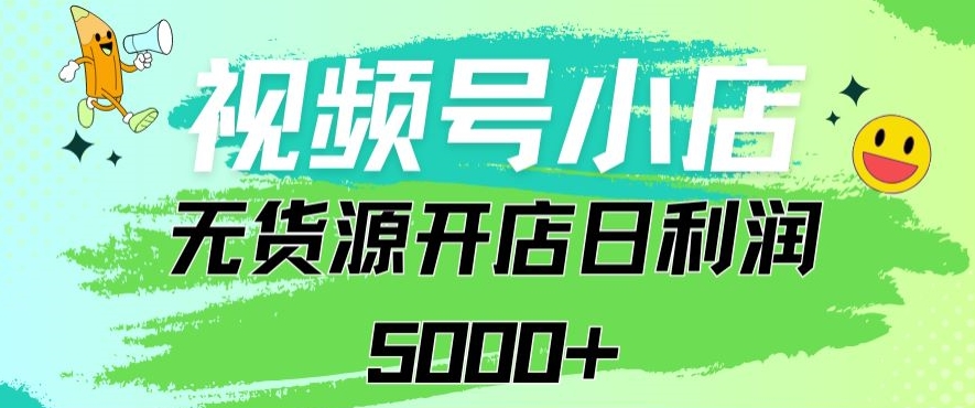 视频号无货源小店从0到1日订单量千单以上纯利润稳稳5000+【揭秘】-大齐资源站