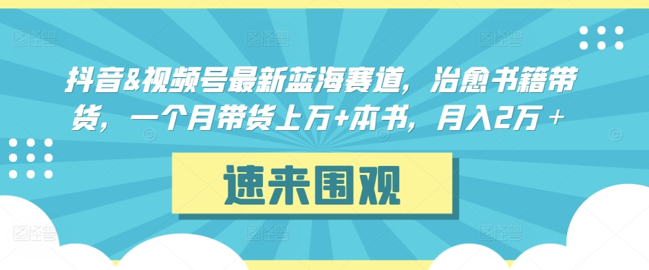 抖音&视频号最新蓝海赛道，治愈书籍带货，一个月带货上万+本书，月入2万＋【揭秘】-大齐资源站