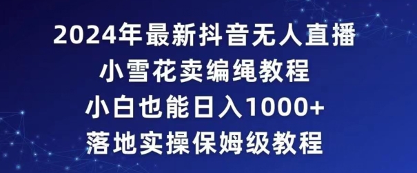 2024年抖音最新无人直播小雪花卖编绳项目，小白也能日入1000+落地实操保姆级教程【揭秘】-大齐资源站