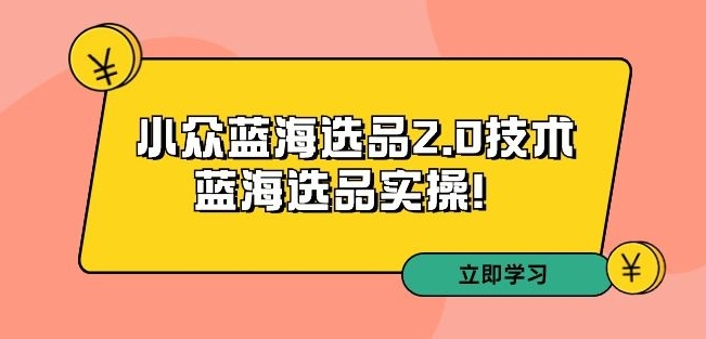 拼多多培训第33期：小众蓝海选品2.0技术-蓝海选品实操！-大齐资源站