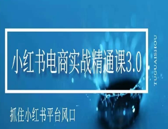 小红书电商实战精通课3.0，抓住小红书平台的风口，不错过有一个赚钱的机会-大齐资源站