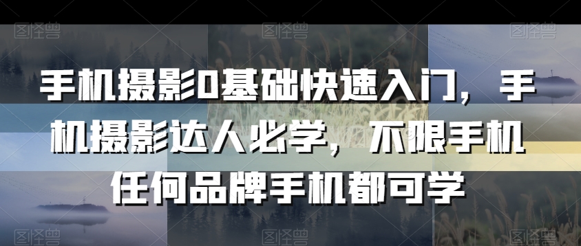 手机摄影0基础快速入门，手机摄影达人必学，不限手机任何品牌手机都可学-大齐资源站