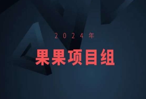 2024年果果项目组项目合集-果果最新项目-大齐资源站