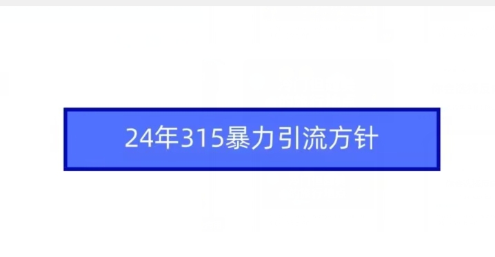 24年315暴力引流方针-大齐资源站