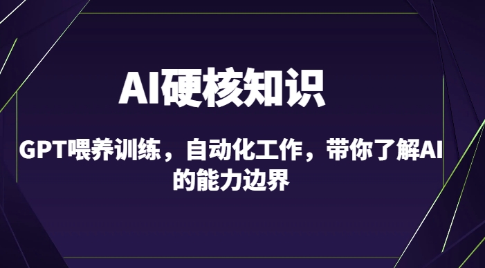 AI硬核知识-GPT喂养训练，自动化工作，带你了解AI的能力边界（10节课）-大齐资源站