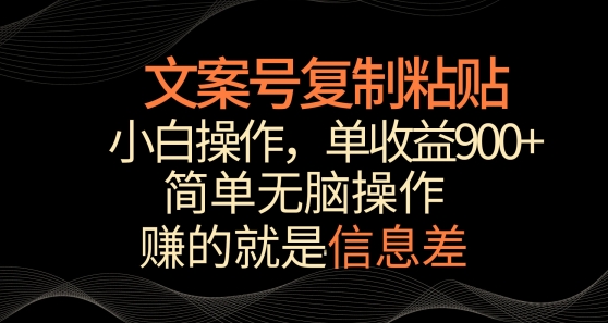 文案号掘金，简单复制粘贴，小白操作，单作品收益900+【揭秘】-大齐资源站