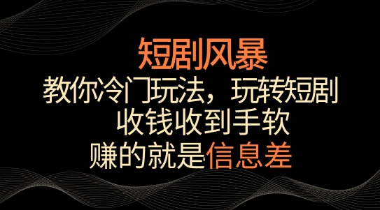 短剧风暴，教你冷门玩法，玩转短剧，收钱收到手软【揭秘】-大齐资源站