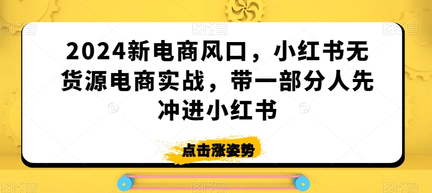 2024新电商风口，小红书无货源电商实战，带一部分人先冲进小红书-大齐资源站