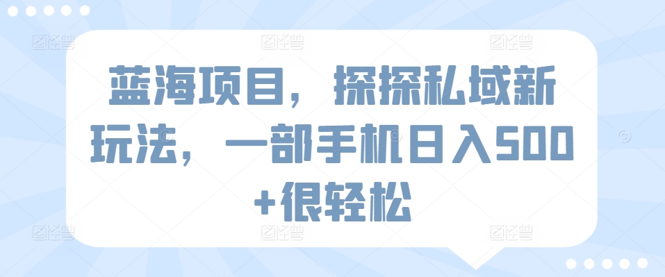 蓝海项目，探探私域新玩法，一部手机日入500+很轻松【揭秘】-大齐资源站