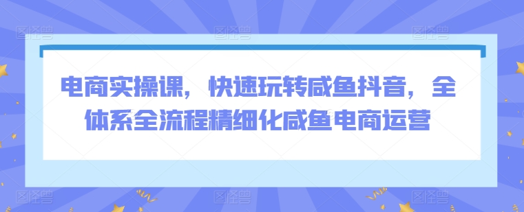 电商实操课，快速玩转咸鱼抖音，全体系全流程精细化咸鱼电商运营-大齐资源站