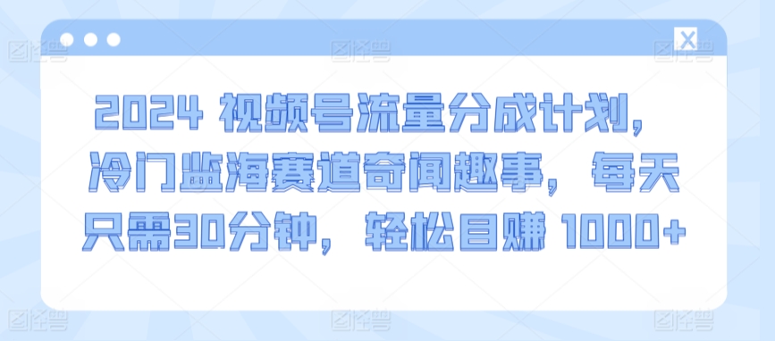 2024视频号流量分成计划，冷门监海赛道奇闻趣事，每天只需30分钟，轻松目赚 1000+【揭秘】-大齐资源站