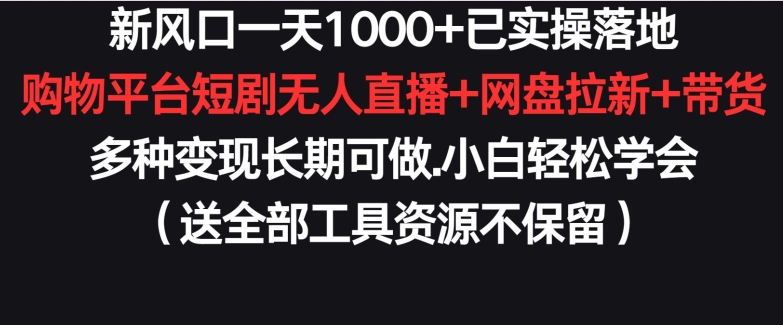 新风口一天1000+已实操落地购物平台短剧无人直播+网盘拉新+带货多种变现长期可做【揭秘】-大齐资源站