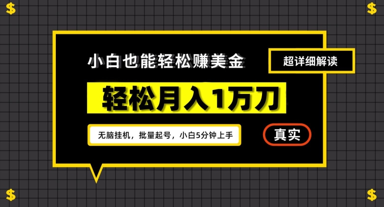 谷歌看广告撸美金2.0，无脑挂机，多号操作，月入1万刀【揭秘】-大齐资源站