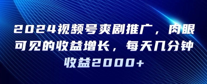 2024视频号爽剧推广，肉眼可见的收益增长，每天几分钟收益2000+【揭秘】-大齐资源站