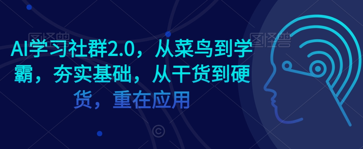 AI学习社群2.0，从菜鸟到学霸，夯实基础，从干货到硬货，重在应用-大齐资源站