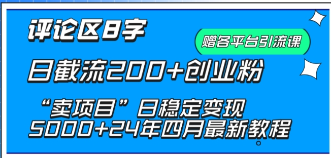 抖音评论区8字日截流200+创业粉 “卖项目”日稳定变现5000+【揭秘】-大齐资源站