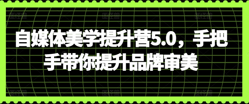 自媒体美学提升营5.0，手把手带你提升品牌审美-大齐资源站