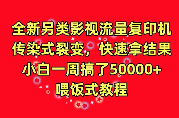 全新另类影视流量复印机，传染式裂变，快速拿结果，小白一周搞了50000+，喂饭式教程【揭秘】-大齐资源站