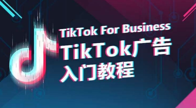 TikTok广告入门教程，从0到1掌握TikTok投放的全流程-大齐资源站