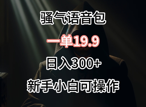 0成本卖骚气语音包，一单19.9.日入300+【揭秘】-大齐资源站