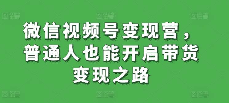 微信视频号变现营，普通人也能开启带货变现之路-大齐资源站