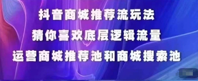 抖音商城运营课程，猜你喜欢入池商城搜索商城推荐人群标签覆盖-大齐资源站