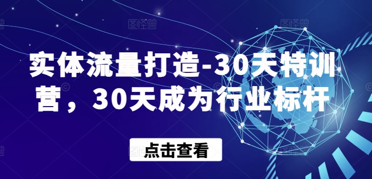 实体流量打造-30天特训营，30天成为行业标杆-大齐资源站