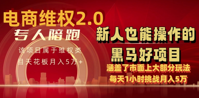 电商维权 4.0 如何做到月入 5 万+每天 1 小时新人也能快速上手【仅揭秘】-大齐资源站