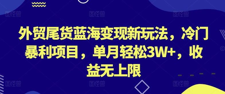 外贸尾货蓝海变现新玩法，冷门暴利项目，单月轻松3W+，收益无上限【揭秘】-大齐资源站