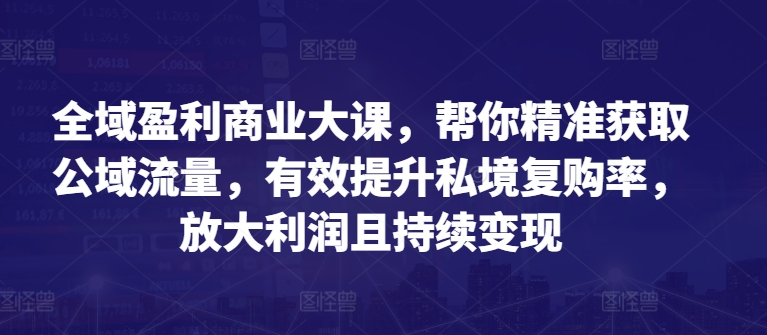 全域盈利商业大课，帮你精准获取公域流量，有效提升私境复购率，放大利润且持续变现-大齐资源站