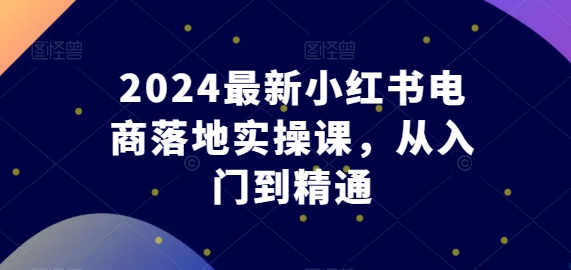 2024最新小红书电商落地实操课，从入门到精通-大齐资源站