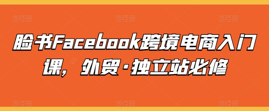 脸书Facebook跨境电商入门课，外贸·独立站必修-大齐资源站