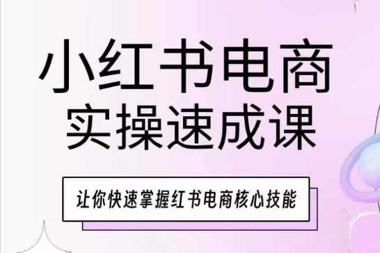 小红书电商实操速成课，让你快速掌握红书电商核心技能-大齐资源站