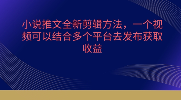 小说推文全新剪辑方法，一个视频可以结合多个平台去发布获取【揭秘】-大齐资源站