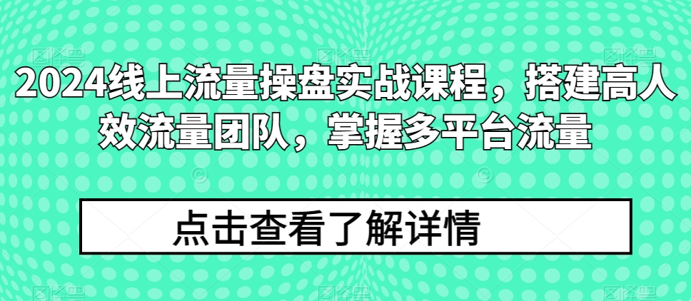 2024线上流量操盘实战课程，搭建高人效流量团队，掌握多平台流量-大齐资源站