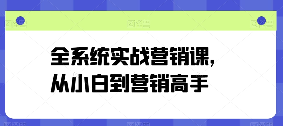 全系统实战营销课，从小白到营销高手-大齐资源站