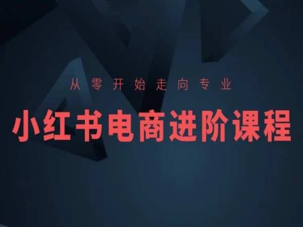 从零开始走向专业，小红书电商进阶课程-大齐资源站