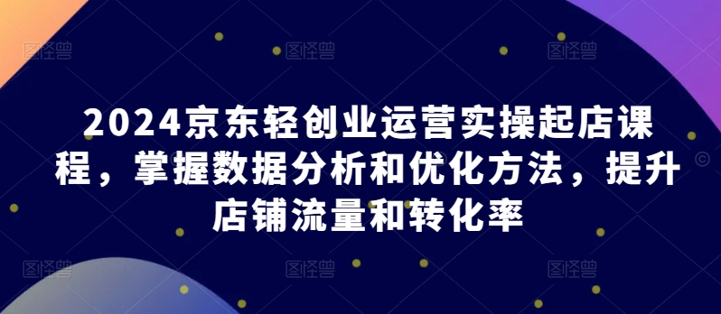 2024京东轻创业运营实操起店课程，掌握数据分析和优化方法，提升店铺流量和转化率-大齐资源站