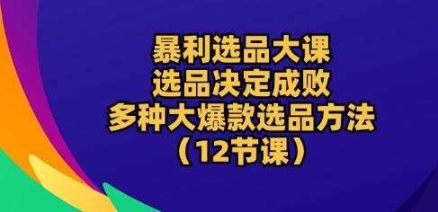 暴利选品大课：选品决定成败，教你多种大爆款选品方法(12节课)-大齐资源站