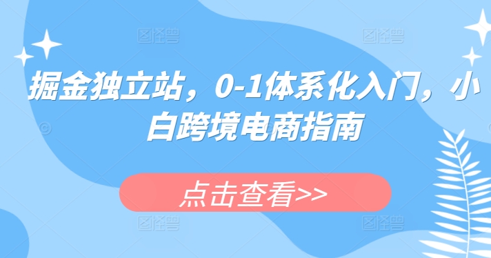 掘金独立站，0-1体系化入门，小白跨境电商指南-大齐资源站