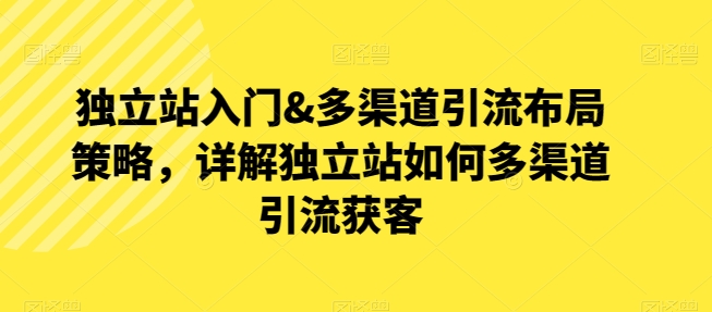 独立站入门&多渠道引流布局策略，详解独立站如何多渠道引流获客-大齐资源站