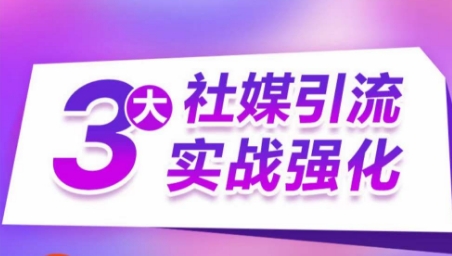 3大社媒引流实战强化，多渠道站外引流，高效精准获客，订单销售额翻倍增长-大齐资源站