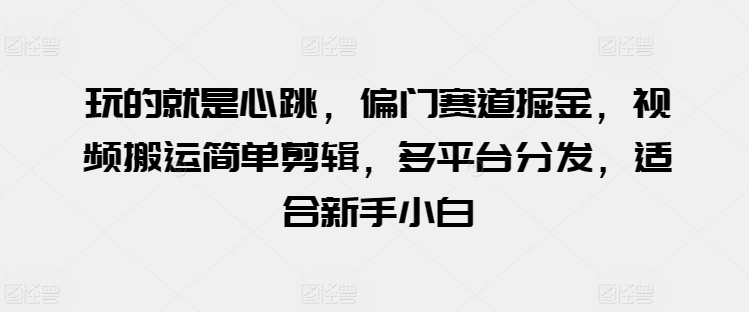 玩的就是心跳，偏门赛道掘金，视频搬运简单剪辑，多平台分发，适合新手小白【揭秘】-大齐资源站