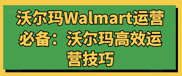 沃尔玛Walmart运营必备：沃尔玛高效运营技巧-大齐资源站